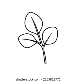 stem with eucalyptus leaves in doodle style, contour illustration of a tree branch with foliage, botanical linart