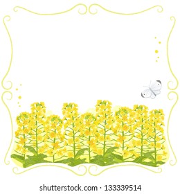 Stem frame with canola flowers and a white butterfly. File contains Clipping mask and Transparency.