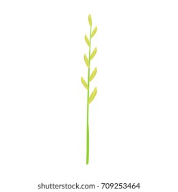 Stem of green grass vector Illustration