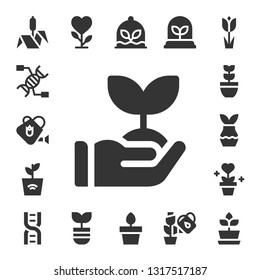 stem icon set. 17 filled stem icons.  Simple modern icons about  - Bulrush, Dna, Watering can, Sprout, Plant, Plants, Tulip