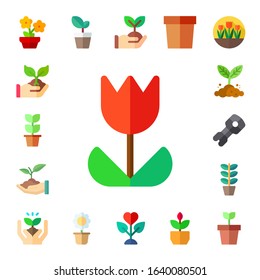 stem icon set. 17 flat stem icons.  Simple modern icons such as: plants, plant, tulip, sprout, flower pot, tulips