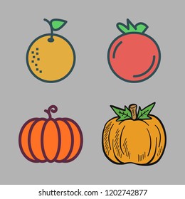 stem icon set. vector set about pumpkin and orange icons set.