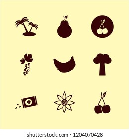 stem icon. stem vector icons set cherry, sowing seeds, banana and palm trees