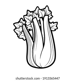 Stem Of Juicy Celery Linear Drawing On White Background