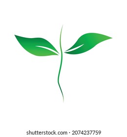 Stem and leaf logo template element