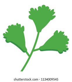 Stem of a Leafy grass making icon for coriander 