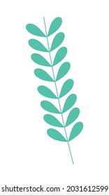 stem with leaves on white background