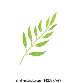 Stem with light green leaves. Vector illustration on white background.