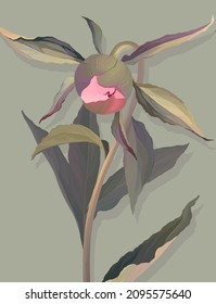 Stem with peony bud on a green background.Vector illustration.