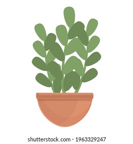 Stem plant pot icon. Cartoon of Stem plant pot vector icon for web design isolated on white background