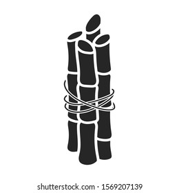 Stem of sugar cane vector icon.Black vector icon isolated on white background stem of sugar cane .