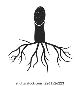 Stem sugar cane vector icon.Black vector icon isolated on white background stem sugar cane.