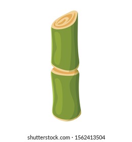 Stem of sugar cane vector icon.Cartoon vector icon isolated on white background stem of sugar cane .