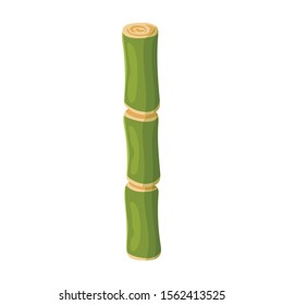 Stem of sugar cane vector icon.Cartoon vector icon isolated on white background stem of sugar cane .