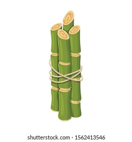 Stem of sugar cane vector icon.Cartoon vector icon isolated on white background stem of sugar cane .