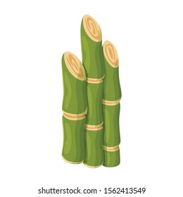 Stem of sugar cane vector icon.Cartoon vector icon isolated on white background stem of sugar cane .