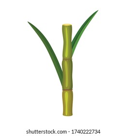 Icono vectorial de la caña de azúcar. Icono vectorial de caricatura aislado en la caña de azúcar de fondo blanco.