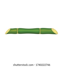 Stem sugar cane vector icon.Cartoon vector icon isolated on white background stem sugar cane.