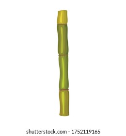 Stem sugar cane vector icon.Cartoon vector icon isolated on white background stem sugar cane.