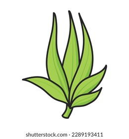 Stem of sugar cane vector icon.Color vector icon isolated on white background stem of sugar cane .