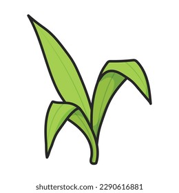 Stem of sugar cane vector icon.Color vector icon isolated on white background stem of sugar cane .