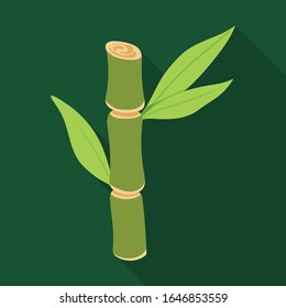 Stem of sugar cane vector icon.Flat vector icon isolated on white background stem of sugar cane .