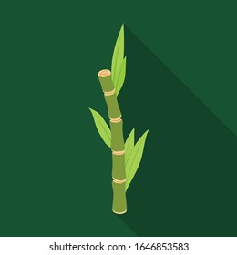 Stem of sugar cane vector icon.Flat vector icon isolated on white background stem of sugar cane .