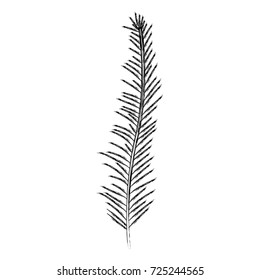 stem with thin leaves on blurred silhouette vector illustration