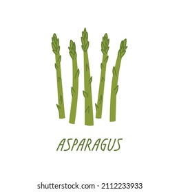 Stems of asparagus on a white background. Vector flat illustration with green vegetables. Organic plant food