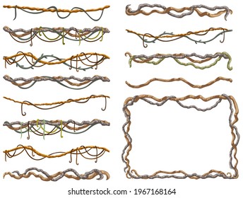 Stems hedera helix, ivy, liana, grapes, vine. Branches tropical creeper. Jungle plants. Isolated game cartoon vector on white background. 