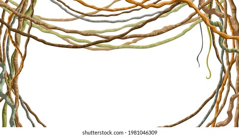 Stems hedera helix, ivy, liana, grapes, vine. Branches tropical creeper. Jungle plants. Isolated game cartoon vector frame on white background. 