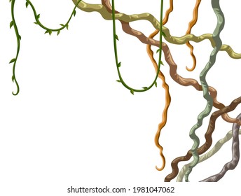 Stems hedera helix, ivy, liana, grapes, vine. Branches tropical creeper. Jungle plants. Isolated game cartoon vector frame on white background. 