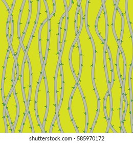 The stems of roses with sharp spines. Rose tree thorns. Abstract background.