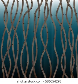 The stems of roses with sharp spines. Rose tree thorns. Abstract background.