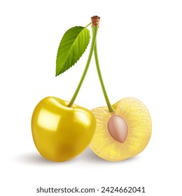 A stems with yellow cherries, accompanied by a green leaf, placed on a white background. The stem holds two sweet cherry fruits, with one of them cut in half revealing its pit