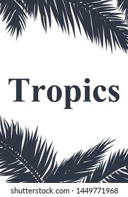 Marco de plantilla de hojas de palma exóticas tropicales de verano, ilustración de Arte vectorial.
