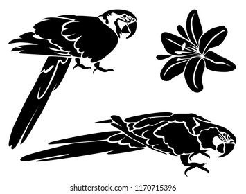 Stencil for laser cutting. Set of parrot, macaw and hibiscus flower. Vector tropical  bird on white background. Black and white logo, sign, emblem, symbol. Stamp. Simple illustration. Sketch. Die cut.