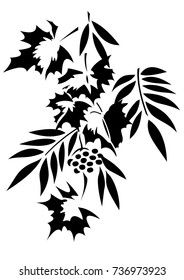 Stencil vector image of tree foliage. Maple, grapes, ash and mountain ash. Isolated on the background of a white color.