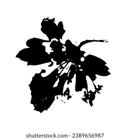 Stencil,leaf print.Decorative botanical elements.Vector graphics.