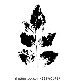 Stencil,leaf print.Decorative botanical elements.Vector graphics.