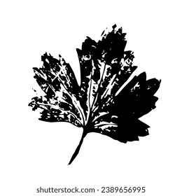 Stencil,leaf print.Decorative botanical elements.Vector graphics.