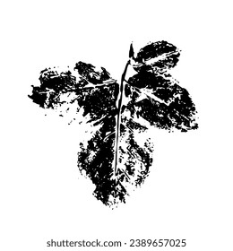 Stencil,leaf print.Decorative botanical elements.Vector graphics.