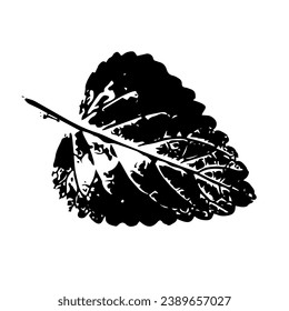 Stencil,leaf print.Decorative botanical elements.Vector graphics.