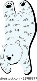 Stencil-style hand-drawn illustration of a white bear swimming
