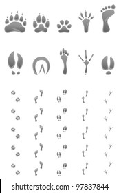 Rabbit Paw Print Images Stock Photos Vectors Shutterstock