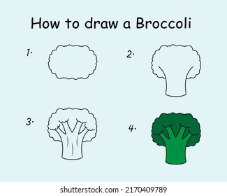 Step By Step To Draw A Broccoli. Drawing Tutorial A Broccoli. Drawing Lesson For Children. Vector Illustration