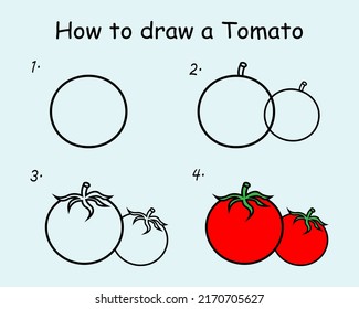 Step by step to draw a Tomato. Drawing tutorial a Tomato. Drawing lesson for children. Vector illustration