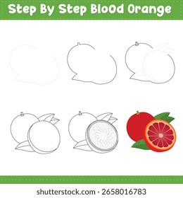 Paso a paso dibujando la sangre naranja Stock de alimentos. Ilustración vectorial