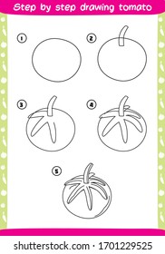 step by step drawing tomato - how to draw tomato for kids - easy and fun