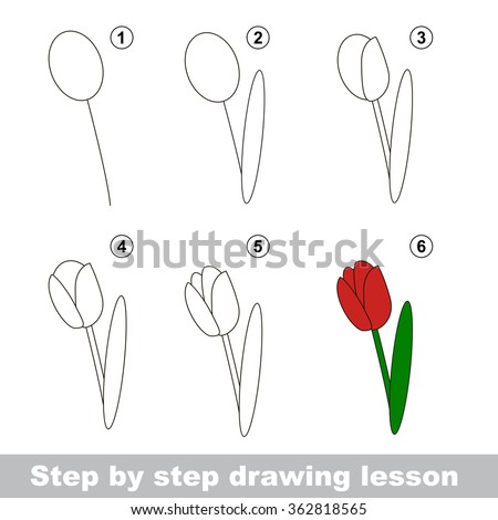 Step By Step Drawing Tutorial Vector Stock Vector (Royalty Free